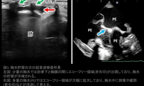 孕妇喉咙痛一直喝水好吗-孕妇喉咙痛一直喝水网—知名的孕妇喉咙痛一直喝水好吗网站,分享孕妇喉咙痛一直喝水可以吗知识